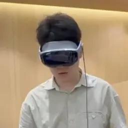 Vivo Vision